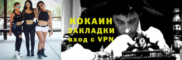 тгк Алексин