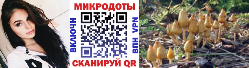 hydra   Малаховка  Галлюциногенные грибы прущие грибы 